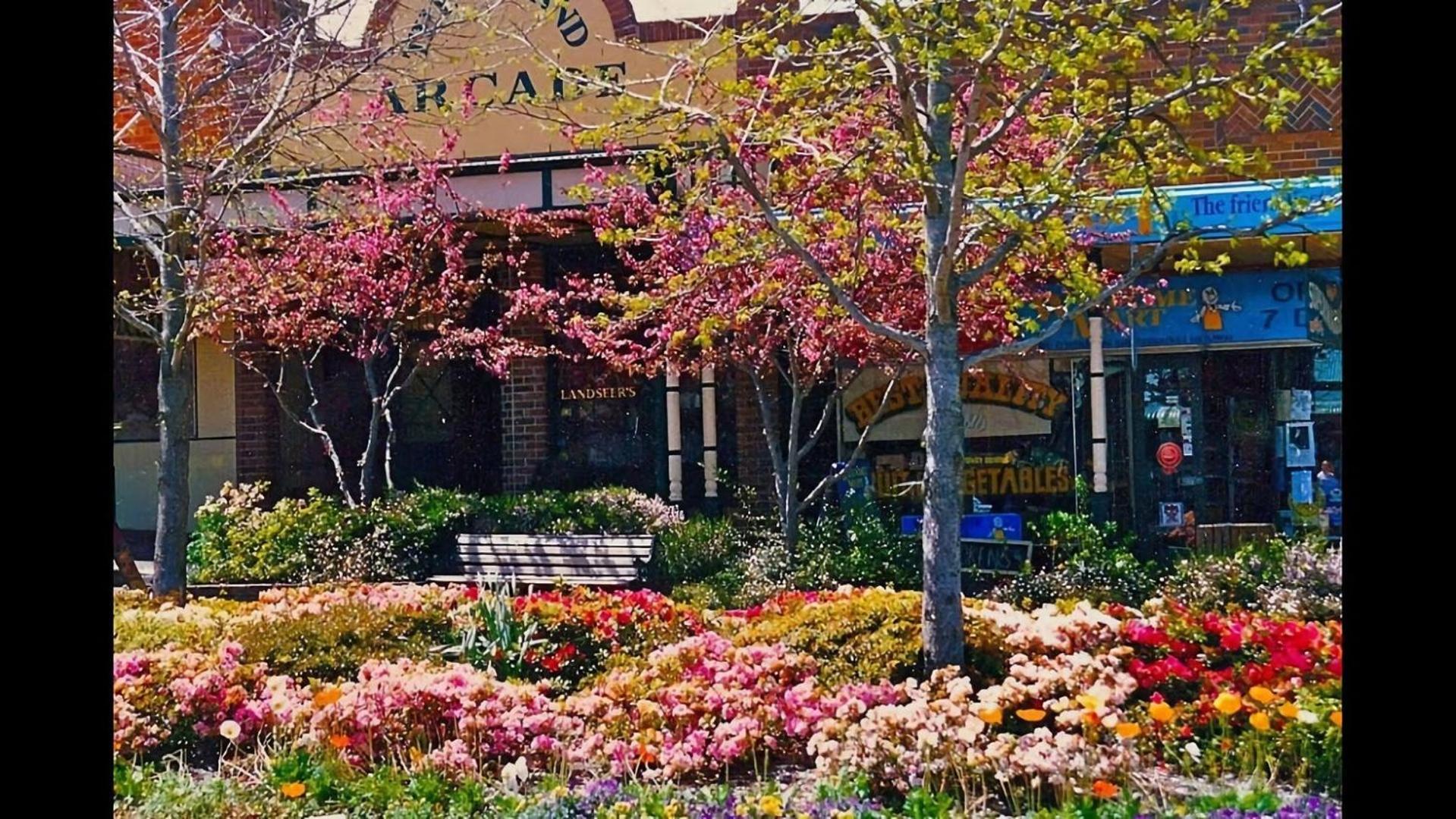 Mountain Home Leura Perfect Weekend Escape Exterior photo