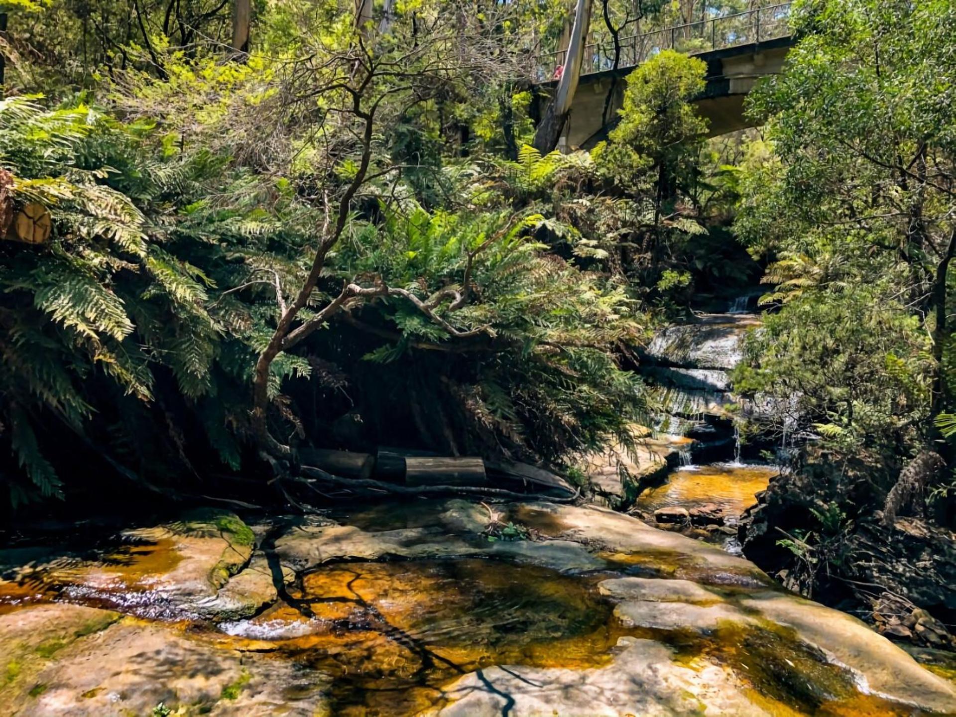 Mountain Home Leura Perfect Weekend Escape Exterior photo