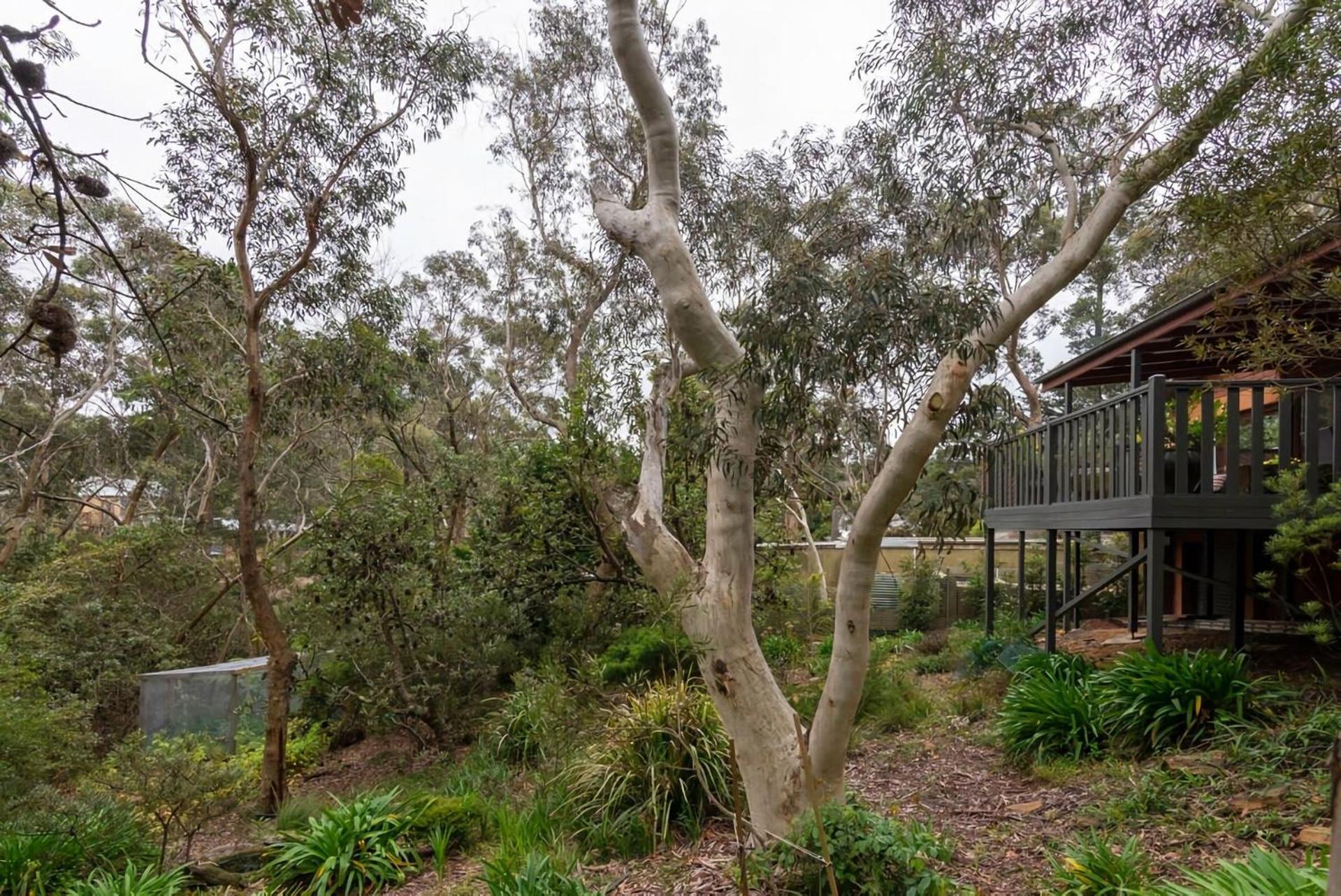 Mountain Home Leura Perfect Weekend Escape Exterior photo